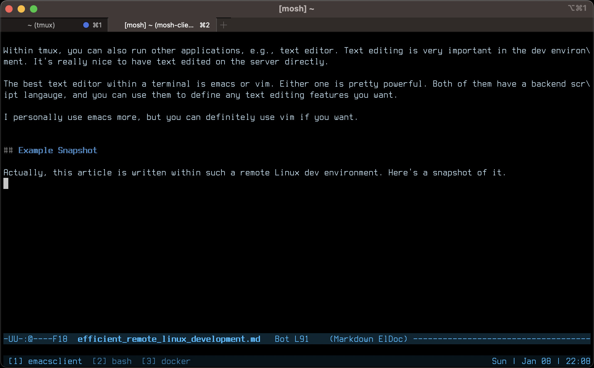 linux remote development environment snapshot